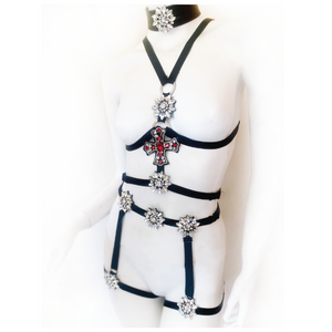 Star-Crossed Garter Belt