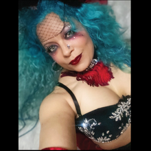 Load image into Gallery viewer, Lady Marmalade Netted Veil Hair Clip