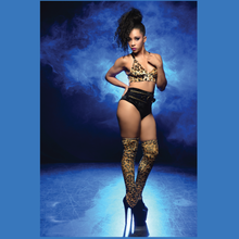 Load image into Gallery viewer, When Doves Cry High Waisted Brief