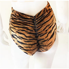 Load image into Gallery viewer, Tiger High Waisted Brief