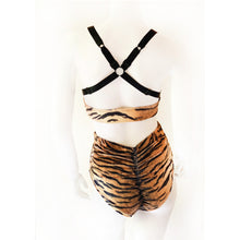 Load image into Gallery viewer, Tiger High Waisted Brief