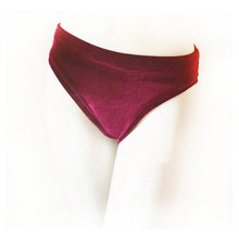 Load image into Gallery viewer, Midsummer Night&#39;s Dream Exotic Bird Velvet Brief
