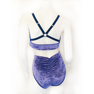 Purple Reign High Waisted Brief