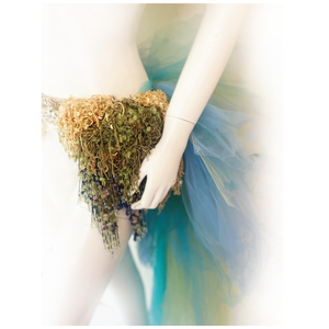 Under the Sea - 34A / Size S